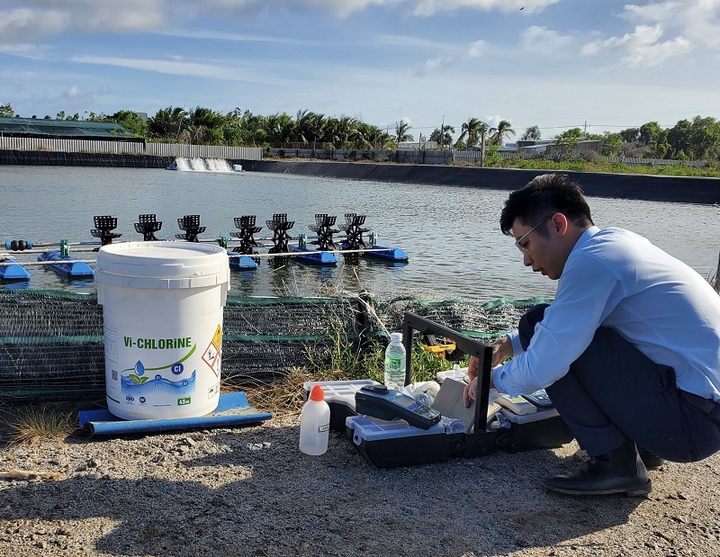 Chlorine in Aquaculture: Best Practices for Shrimp Pond Disinfection (2026 Guide)