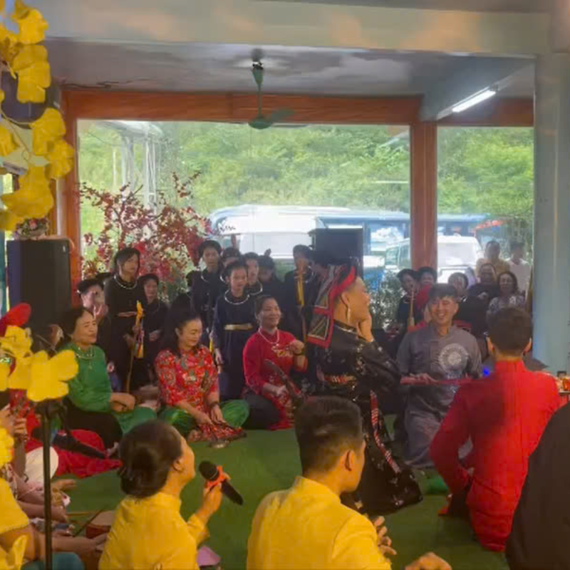 Dịch vụ giải trí