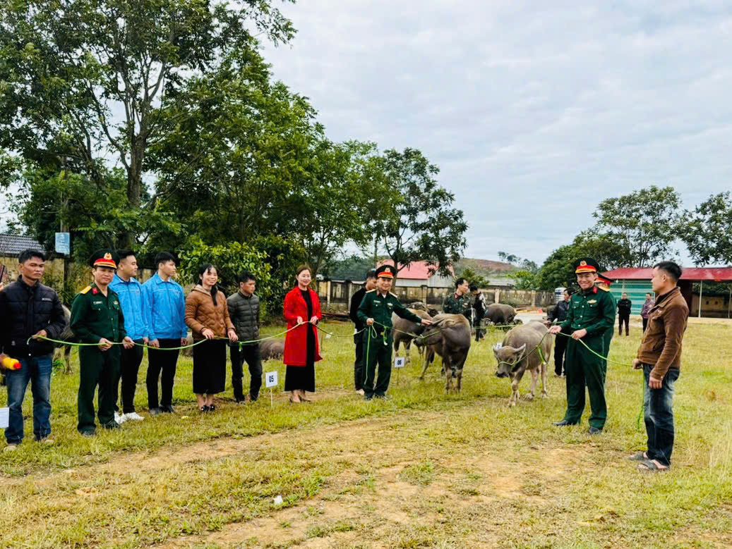 HỢP TÁC XÃ LÚA VÀNG VÀ ĐOÀN KTQP 338/QK1 ĐỒNG HÀNH PHÁT TRIỂN CHĂN NUÔI VÙNG BIÊN GIỚI LẠNG SƠN