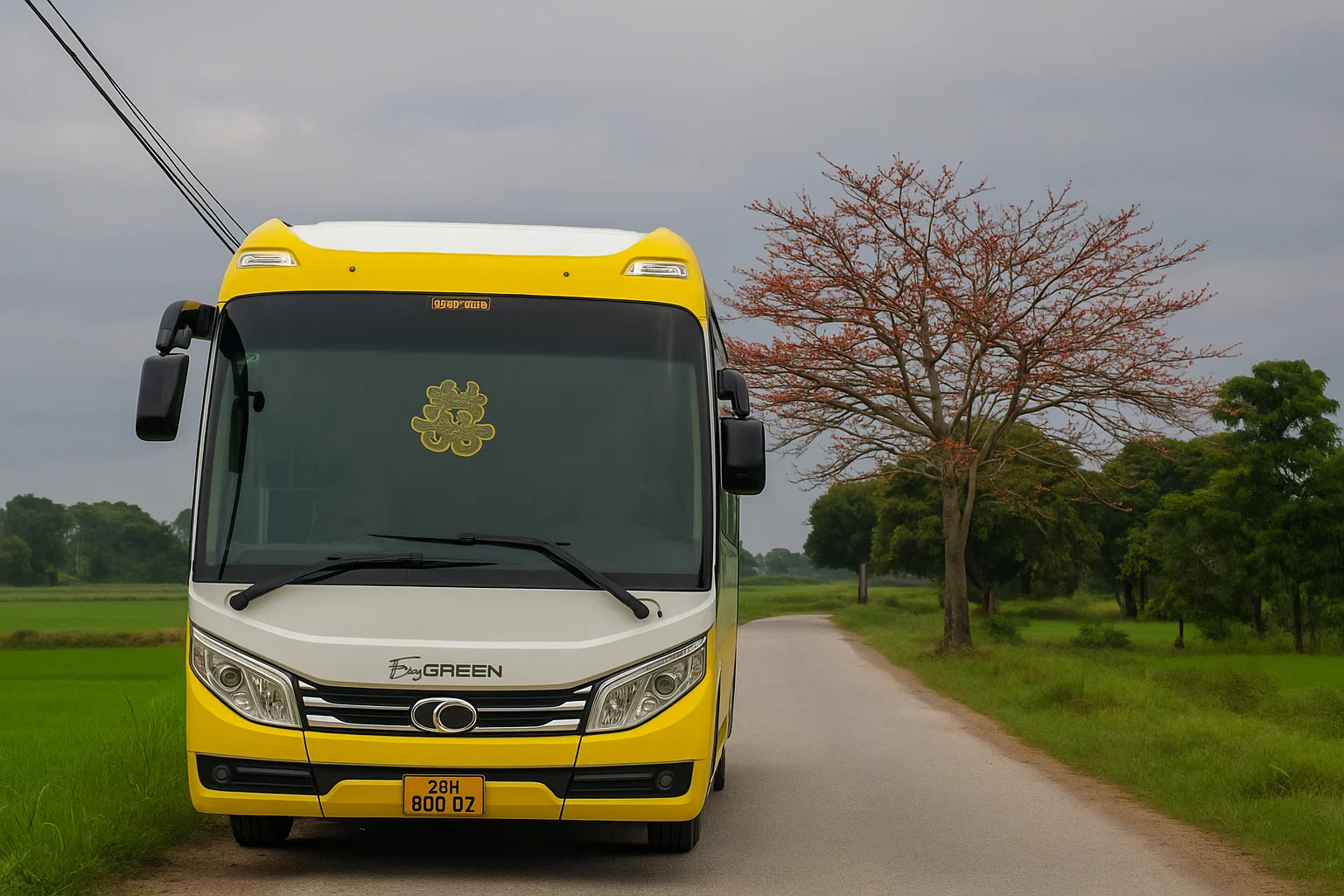 Xe 29 chỗ