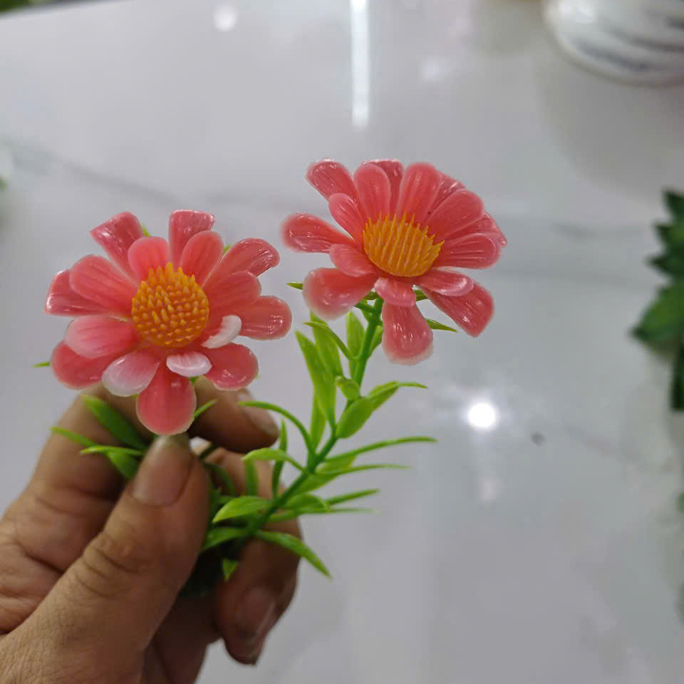 Cỏ điểm