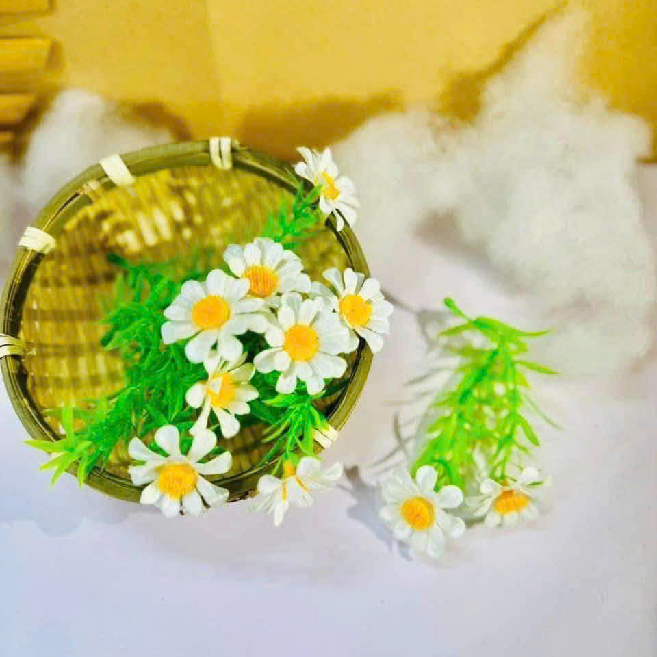 Cỏ điểm