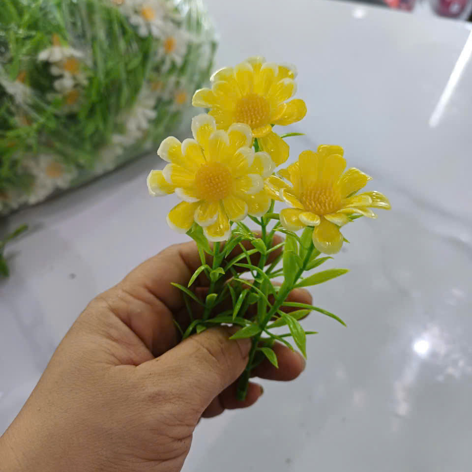 Cỏ điểm