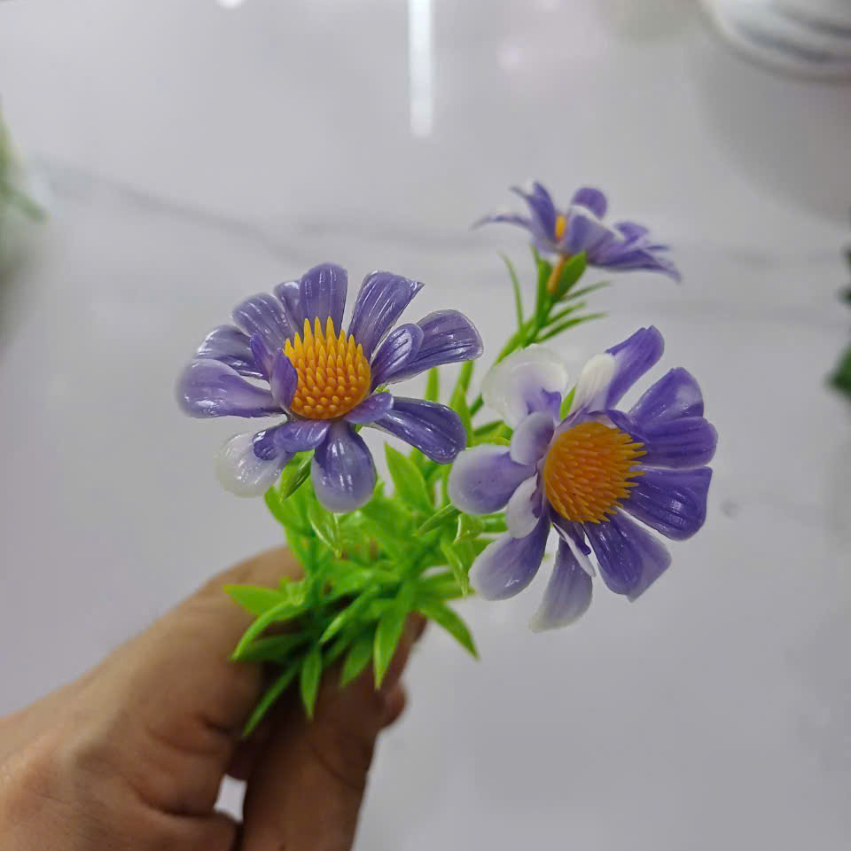 Cỏ điểm