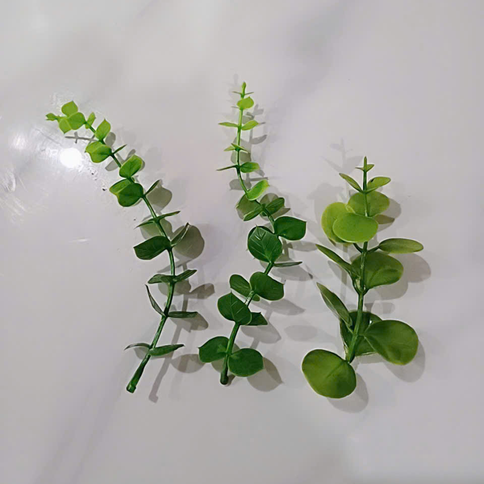 Cỏ điểm