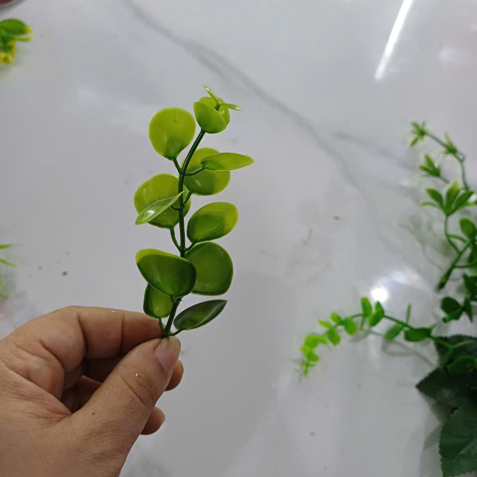 Cỏ điểm