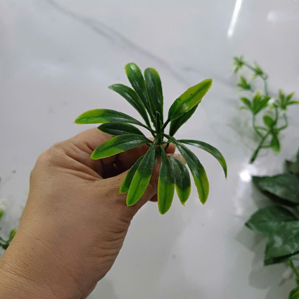 Cỏ điểm