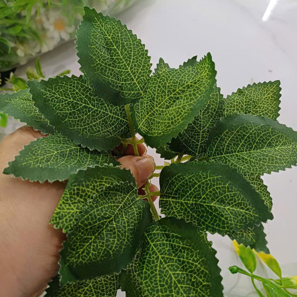 Cỏ điểm
