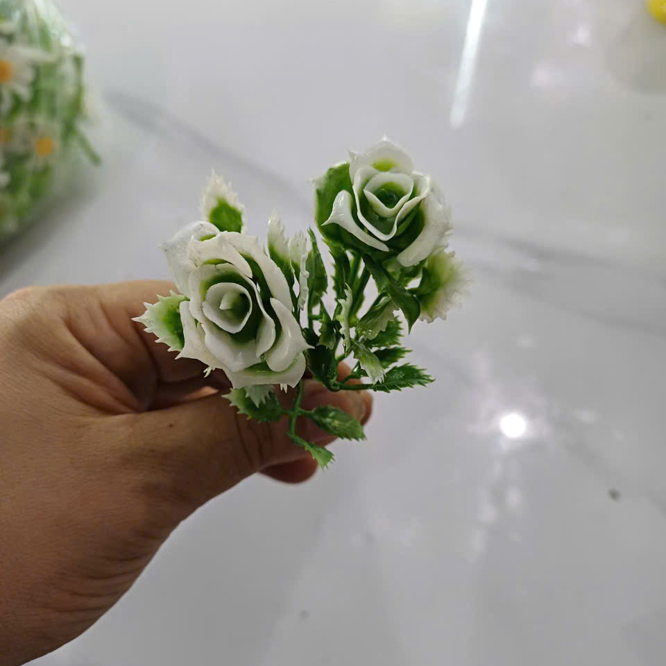 Cỏ điểm