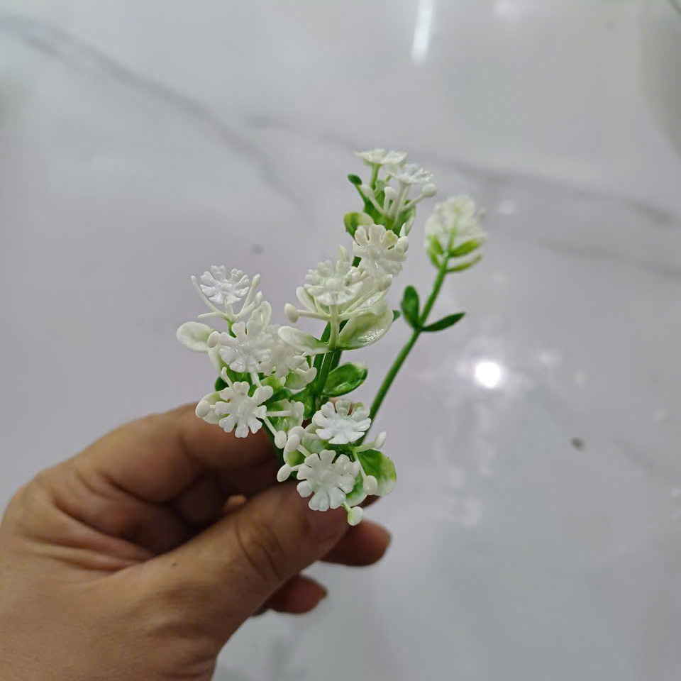 Cỏ điểm