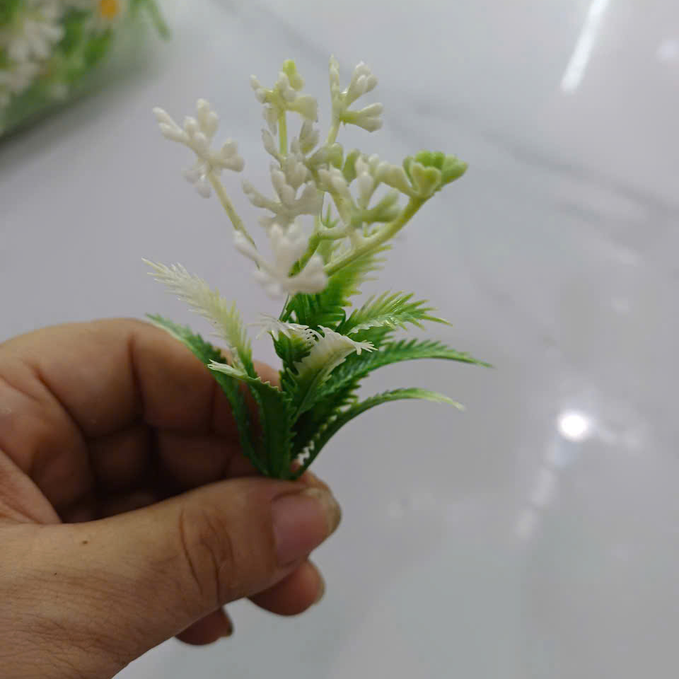 Cỏ điểm