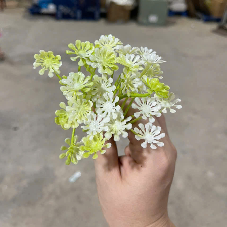 Cỏ điểm