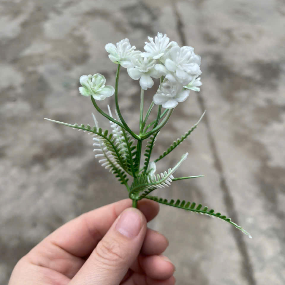 Cỏ điểm