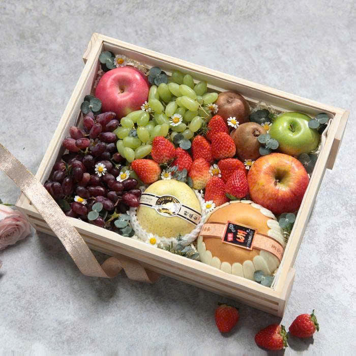 Khay vuông, khay chữ nhật, khay lục