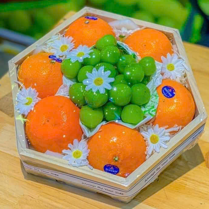 Khay vuông, khay chữ nhật, khay lục