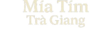 Mía tím Trà Giang