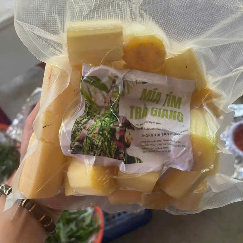 Mía tím Trà Giang