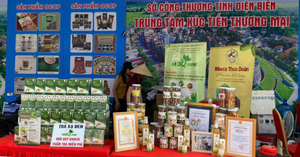 Mắc ca Tuần Giáo – Từ vùng đất khó vươn lên thành sản phẩm OCOP đặc trưng