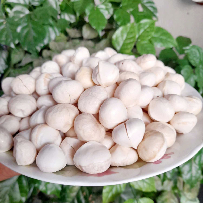 Nhân macca sấy giòn Thoa Doãn