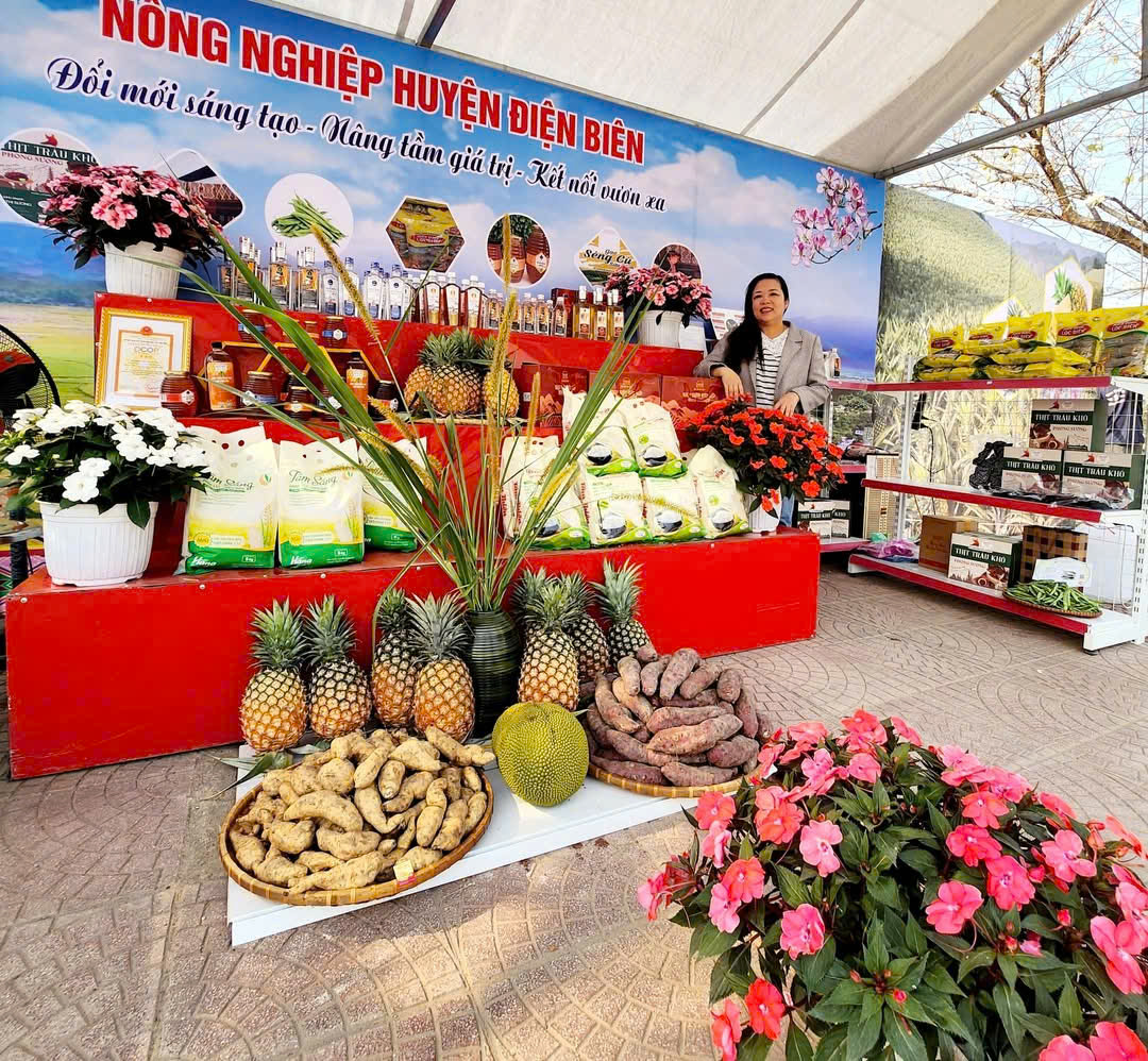 hoptacxaduamuongnha