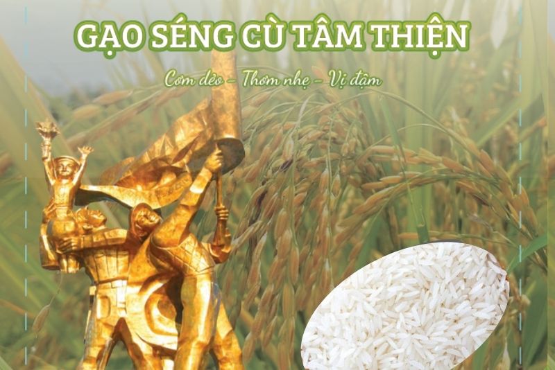 CÂU CHUYỆN SẢN PHẨM GẠO SÉNG CÙ TÂM THIỆN