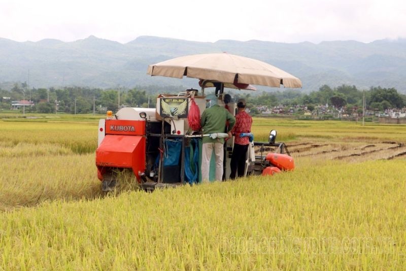 Quy trình sản xuất hạt gạo Séng Cù