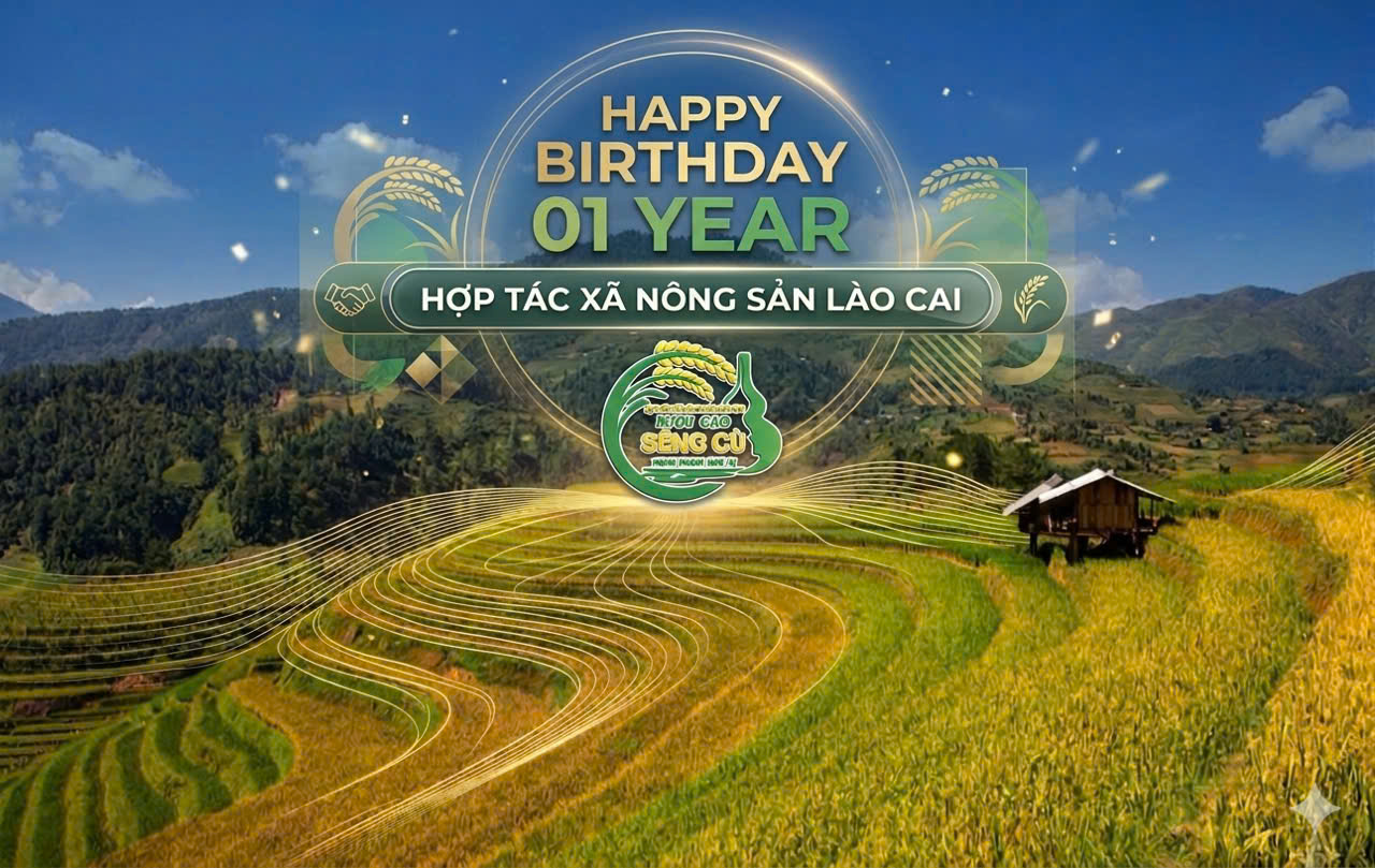HỢP TÁC XÃ NÔNG SẢN LÀO CAI - KỶ NIỆM SINH NHẬT 01 NĂM