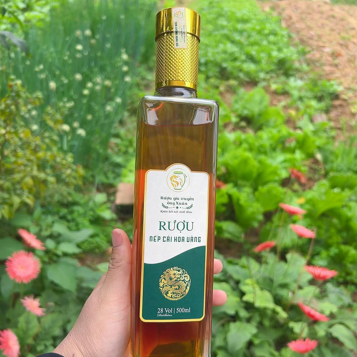 Rượu nếp cái hoa vàng - Rượu gia truyền ông Xuân