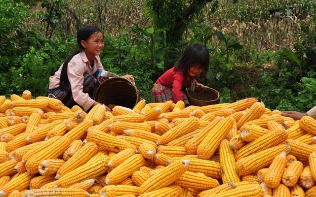 RƯỢU SẠCH TỪ TÂM – TRỌN VẸN NIỀM AN NHIÊN