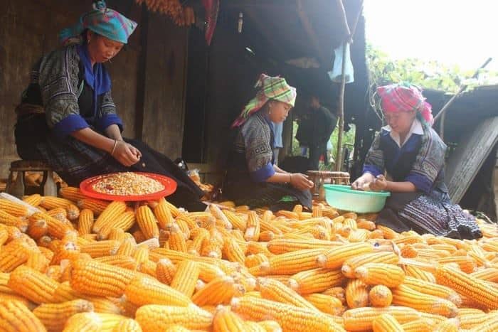 BÀI 3: CÂU CHUYỆN THƯƠNG HIỆU