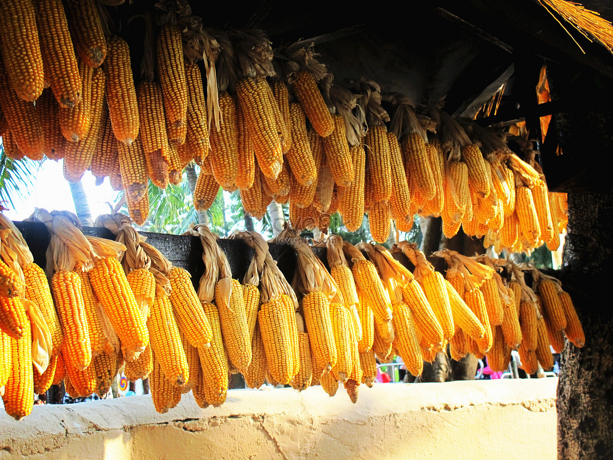 Rượu ngô Pú Nhung (can)