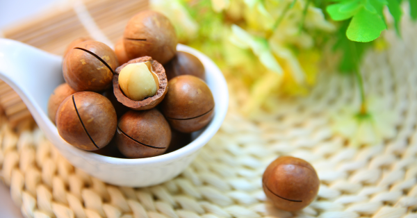 Lợi ích từ hạt Macca